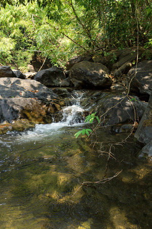 Small waterfall with natural light in deep forest.の写真素材