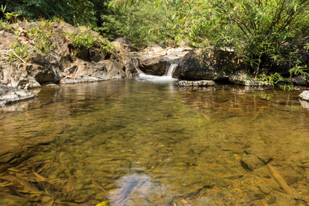 Small waterfall with natural light in deep forest.