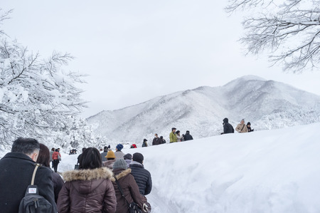 The cold weather season in Japan.のeditorial素材