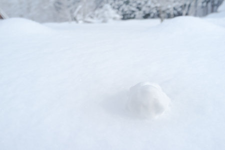 Snow doll in snowy view in Japan.
