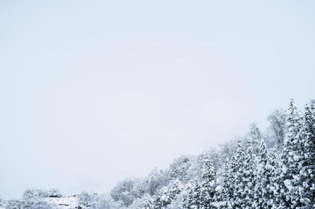 The cold weather season in Japan.の写真素材