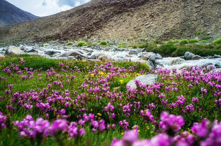 Natural landscape in Leh Ladakh, Jammu and Kashmir, Indiaの写真素材