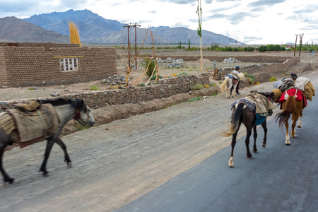 Local people in Leh Ladakh, Jammu and Kashmir, Indiaのeditorial素材