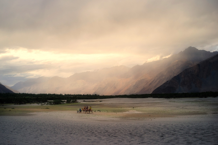 Hunder Sand Dunes of Nubra Valley in Leh Ladakh, Jammu and Kashmir, Indiaの写真素材