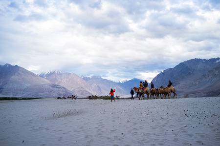 Hunder Sand Dunes of Nubra Valley in Leh Ladakh, Jammu and Kashmir, Indiaの写真素材