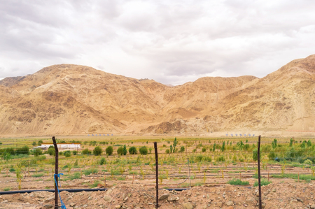 Natural landscape in Leh Ladakh, Jammu and Kashmir, Indiaの写真素材