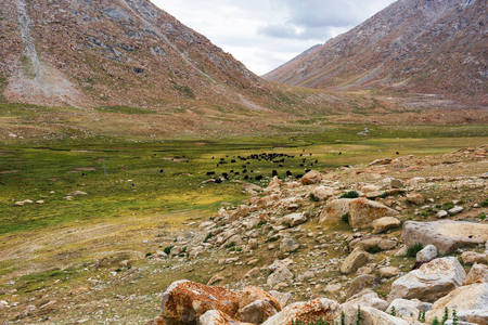 Natural landscape in Leh Ladakh, Jammu and Kashmir, Indiaの写真素材