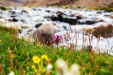 Natural landscape in Leh Ladakh, Jammu and Kashmir, Indiaの写真素材