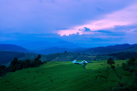 Rice terraces in Chiang Mai, Thailandの写真素材