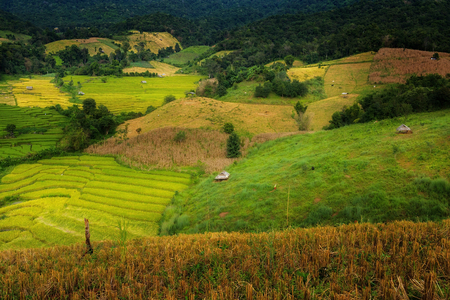 Rice terraces in Chiang Mai, Thailandの写真素材