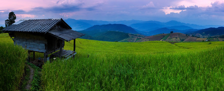 Rice terraces in Chiang Mai, Thailandの写真素材