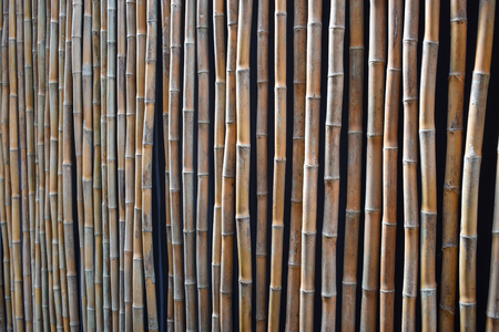 Bamboo fence or wall backgroundの写真素材