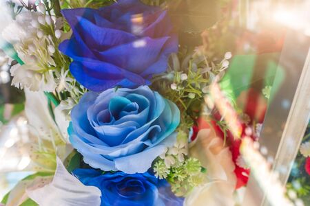 Plastic Floral Bouquet with flareの写真素材