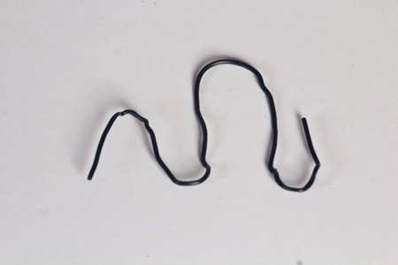 Black rubber band on white background. Isolated on white background.の写真素材