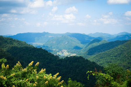 Beautiful forests and small waterfalls flow from the rocks. and flows to the canals in the forest at...