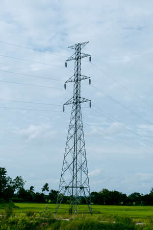 Tall electric poles beside the road with wires. in the green nature forestの写真素材