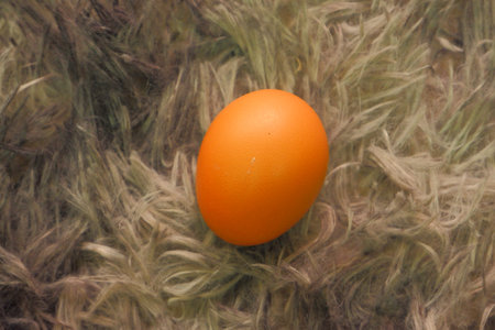 chicken eggs for cooking
