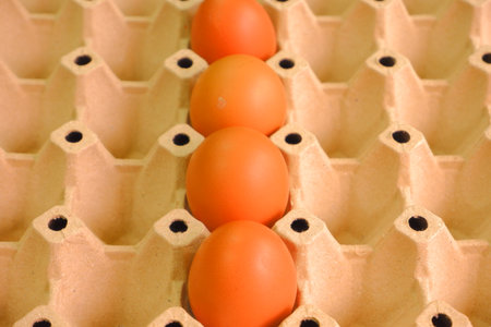 chicken eggs for cookingの写真素材