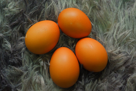 chicken eggs for cookingの写真素材
