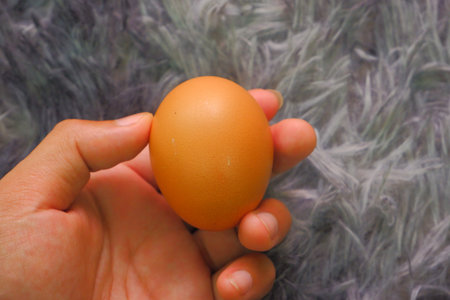 chicken eggs for cooking
