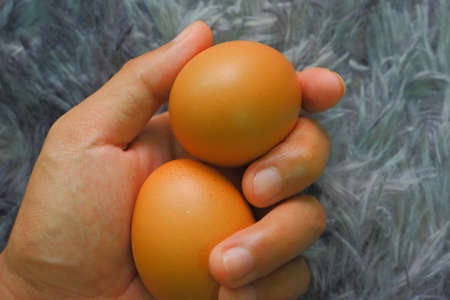 chicken eggs for cookingの写真素材
