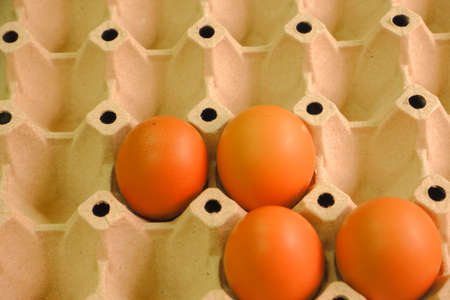 chicken eggs for cookingの写真素材