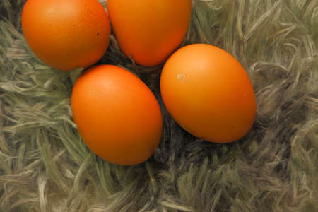 chicken eggs for cookingの写真素材