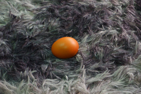 chicken eggs for cookingの写真素材