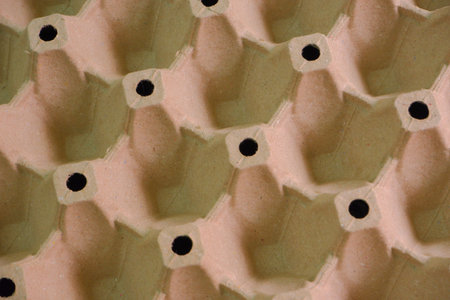 egg tray