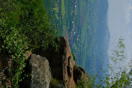 Green forest with beautiful natureの写真素材