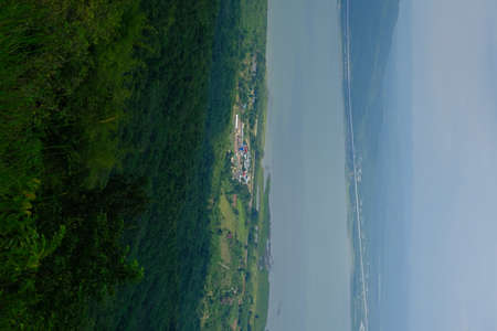Green forest with beautiful natureの写真素材