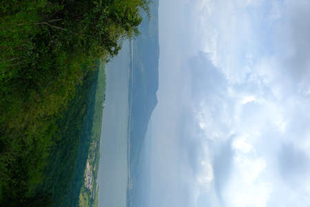 Green forest with beautiful natureの写真素材