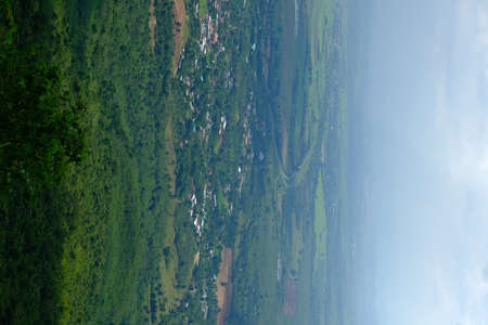 Green forest with beautiful natureの写真素材