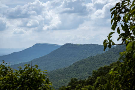 Beautiful nature with trees and bright sky, good atmosphere.の写真素材