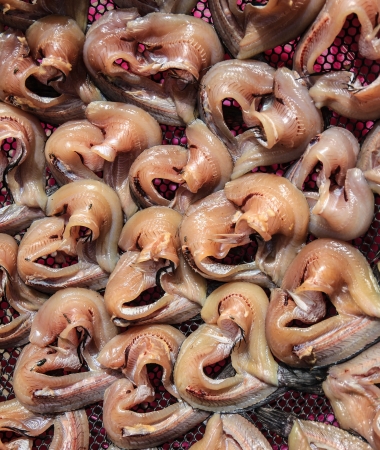 Thai traditional preserved fishes の写真素材