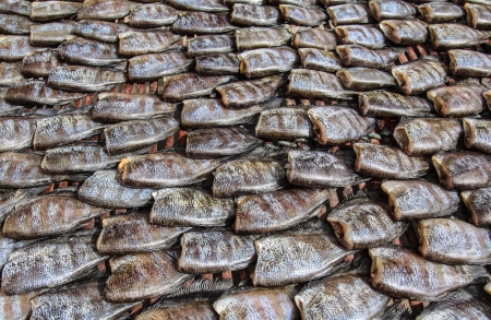 Thai traditional preserved fishes の写真素材