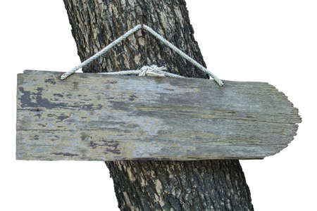 Blank signboard on a tree, white の写真素材