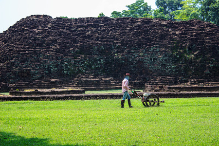 male gardener working with lawn mowerの写真素材