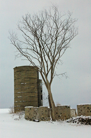 Snowy abandoned barn, silo, and tree in Wisconsinの写真素材