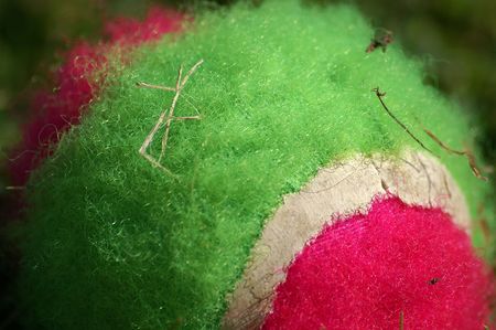 Green and pink velcro ballの写真素材