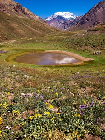 Beautiful nature landscape with famous Aconcagua in the background as seen in Aconcagua National Park, Argentina, South America.の写真素材