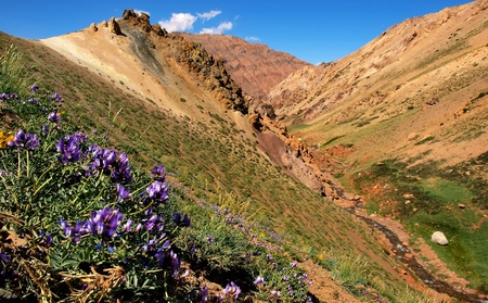 Beautiful nature landscape as seen in Mendoza, Argentina, South America.の写真素材