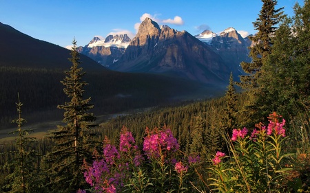 Beautiful nature landscape at dawn as seen in Alberta, Canadaの写真素材