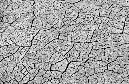 Cracked dry soil  の写真素材