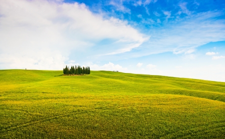 Scenic Tuscany landscape in Val d Orcia, Italyの写真素材