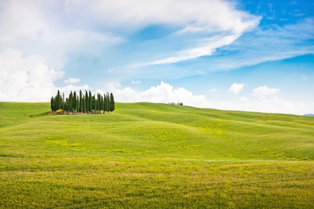 Beautiful Tuscany landscape in Val d Orcia, Italyの写真素材