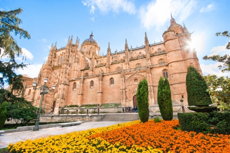 Beautiful view of Cathedral of Salamanca, Leon region, Spainの写真素材