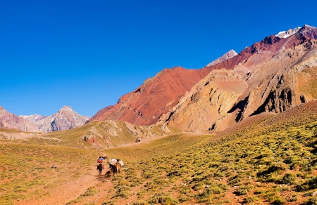 Panoramic view of a group of hikers trekking in the Andes, Argentina, South Americaの写真素材