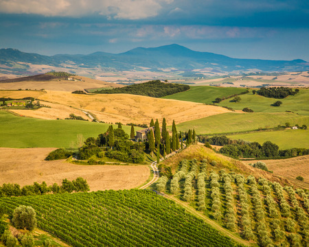 Scenic Tuscany landscape with rolling hills and valleys in golden evening light, Val dの写真素材