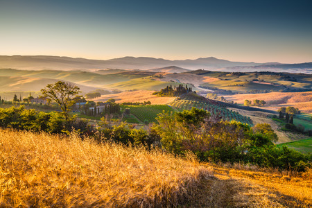 Scenic Tuscany landscape with rolling hills and harvest fields in golden morning light, Val d Orcia, Tuscany, Italyの写真素材